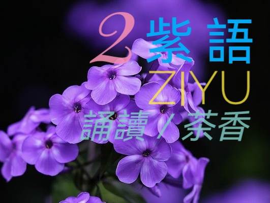 侯宝华爱情系列诗五首ll诵读 花语 茶香 有一天 鹤凡 胡瑛(图6)