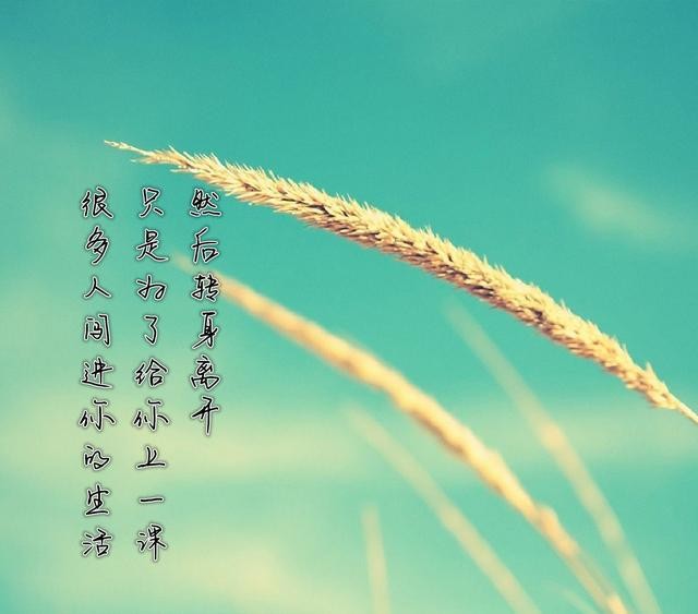〔现代诗〕无法挽留.深秋（外二首）作者 陈铠 黑龙江【冰心文化传媒】（图14）