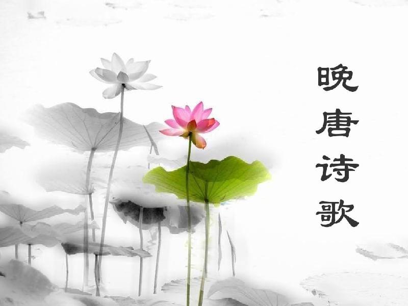 鹧鸪夭.写诗（通韵）文／姚朝文（陕西三原）（图3）