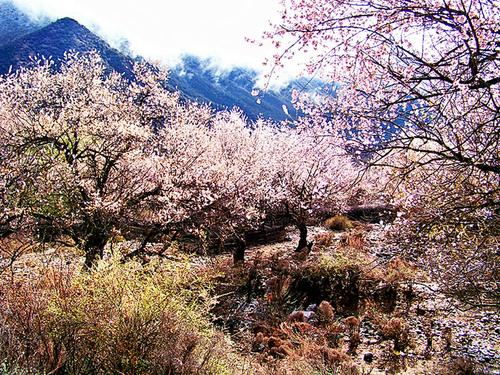 王慧生老师佳作欣赏！（图3）