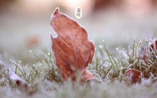 王慧生老师佳作欣赏！（图4）