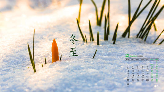 郑玉亚老师佳作欣赏!(图3)