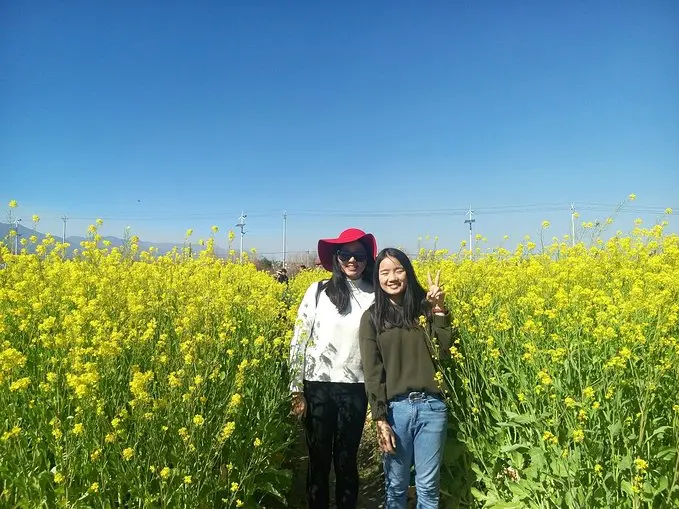 张桂华：格律诗专辑 请欣赏（图6）