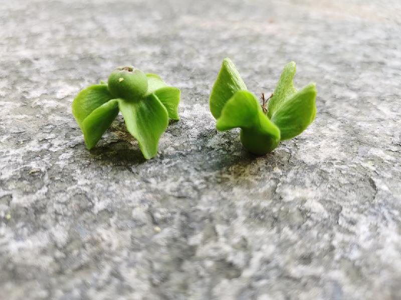 《中国爱情诗刊》 【中国爱情诗人档案】(第3937期)陕西诗人:清风的诗(图4)