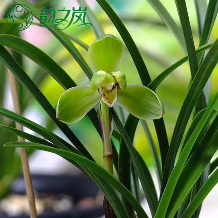联机全球发布黄昌才精品诗歌！（图19）