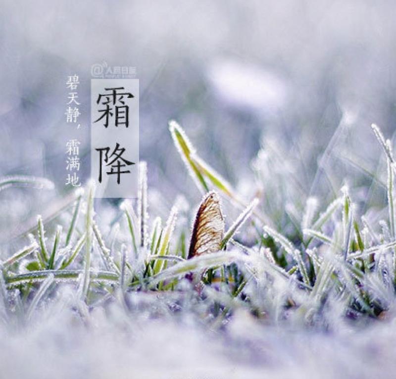东渡诗社：寒秋专辑｜海外头条（图17）