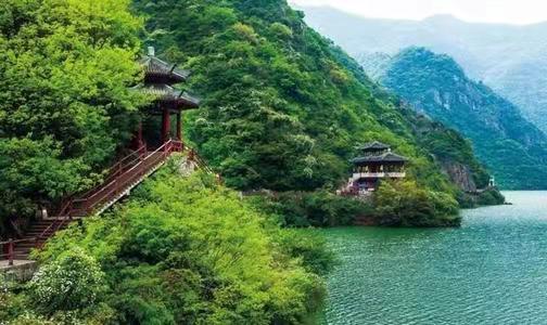 中华古韵社,名家近作:中国诗人·王淑梅西京览胜|海外头条(图3)