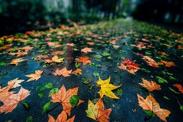 七绝：无题文／彭宇昭（图2）