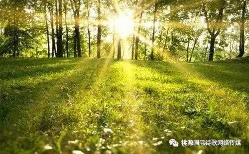 《安徽诗人.吴向东》诗选（图9）