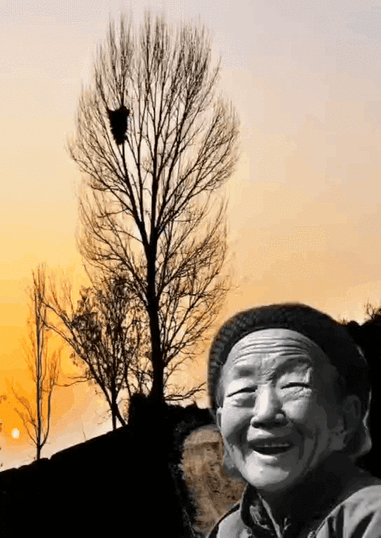 3.gif