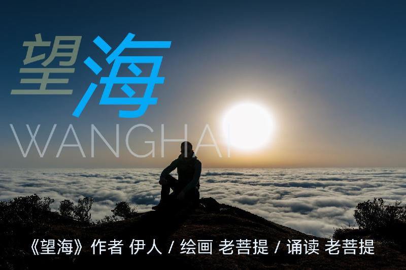 望海（诗配画）ll作者 伊人ll绘画 诵读 老菩提（图18）