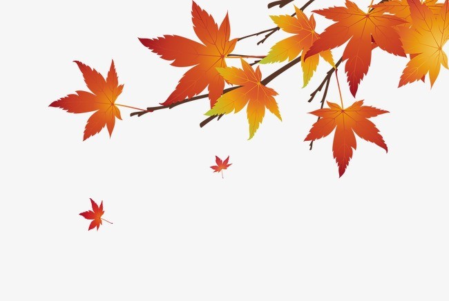 【潇湘文学社】潇湘陶菊诗社《枫》（总210期）（图3）