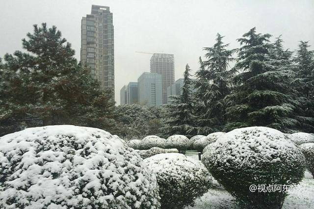 《立冬》瑞雪初下：文／李建印（陕西西安）（图18）