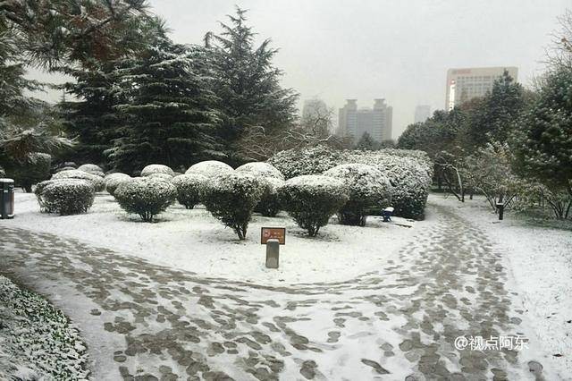 《立冬》瑞雪初下：文／李建印（陕西西安）（图20）
