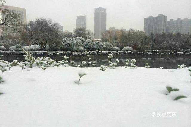 《立冬》瑞雪初下：文／李建印（陕西西安）（图17）