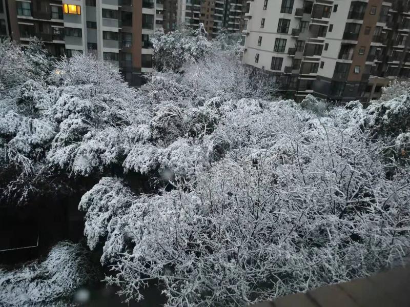 《今日立冬》立冬飘雪花：作者：李晓梅（陕西商洛）