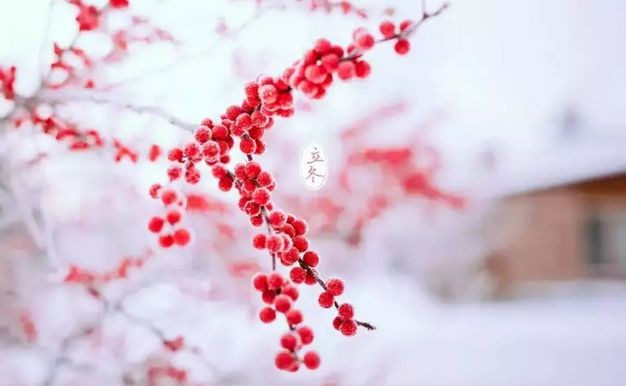 海棠春•立冬吟（秦观体）作者：王省南／浙江（图2）