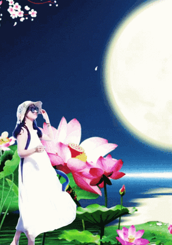 鍔ㄥ浘鐢?3.gif