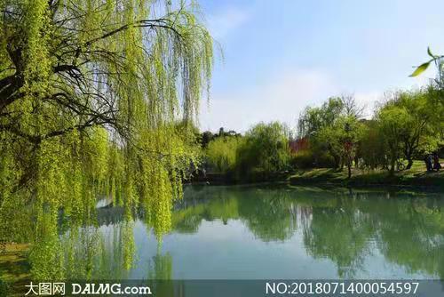 中华古韵社,名家近作:中国诗人·王静华古诗词选|海外头条(图4)