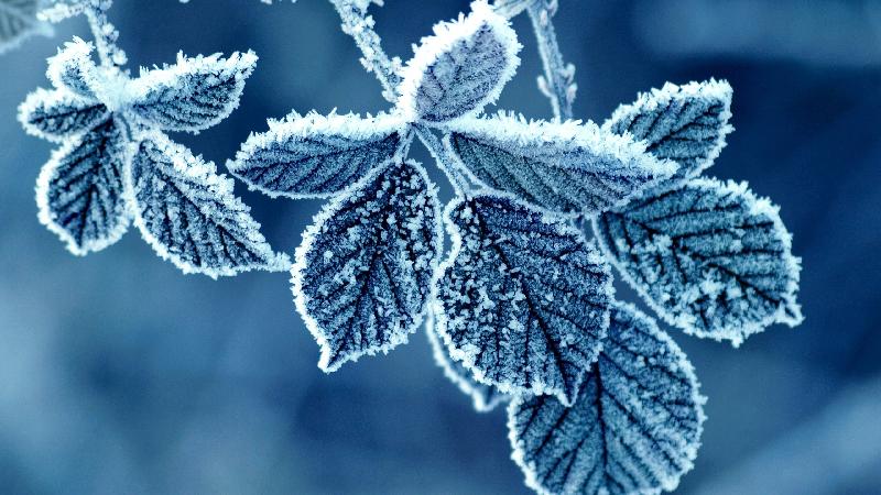 一滴水的魂魄ll文 侯宝华ll诵 遥远(图8)