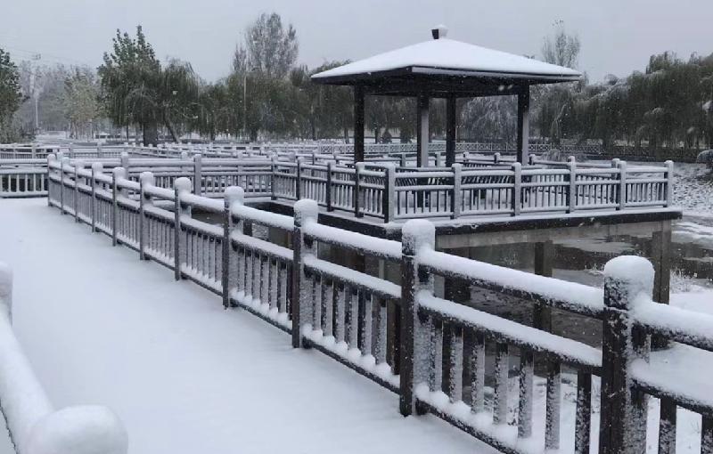 【新诗大观】2021年的第一场雪||文/冯晓敏(图4)