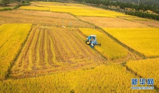 联机全球发布赵秀荣精品诗歌（图46）