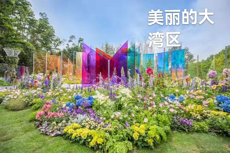 歌唱粤港澳大湾区：作者丁培恭｜海外头条（图3）