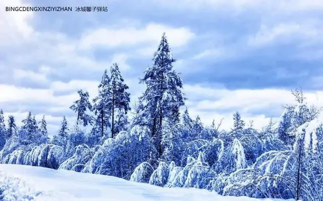 【原创】姚朝文/老师/念奴娇•咏雪｛欣赏｝（图3）