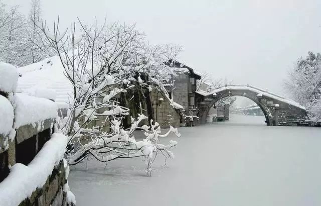 邢志坚诗歌《第一场雪》欣赏,金牌主播山涧红枫诵读编辑:宋梅【中国长江文学社】有声文学平台第2887期(图6)