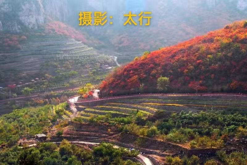 【新诗大观】笑看人生芳华(诗二首)||文/华贸