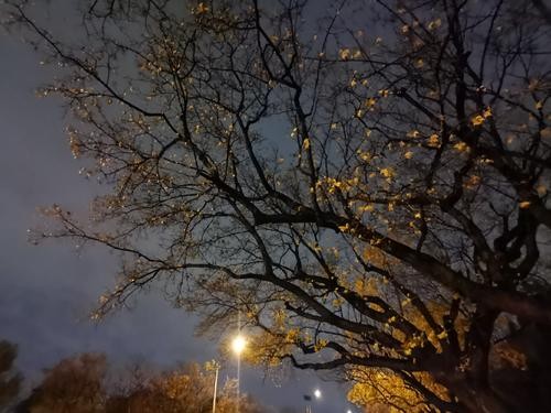 山东诗人春韵老师佳作欣赏（图2）