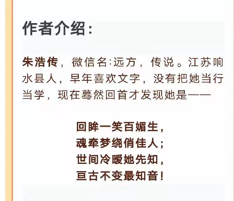 断了线的风筝：作者朱浩传｜海外头条（图5）