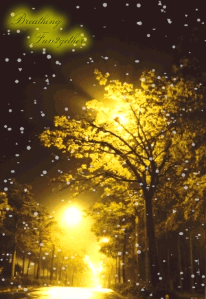 300_435竖版 竖屏gif 动态图 动图