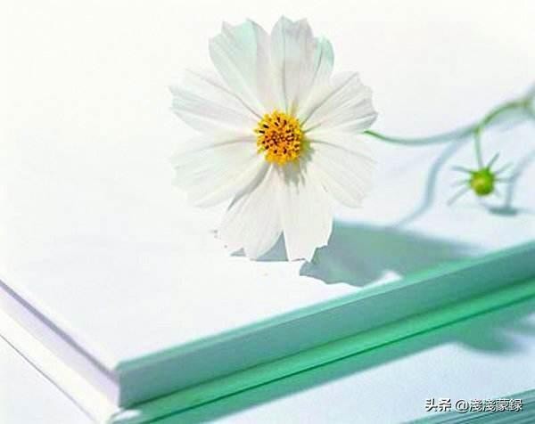 〔诗词专辑〕第二 郭子华(加拿大)【冰心文化传媒】(图8)