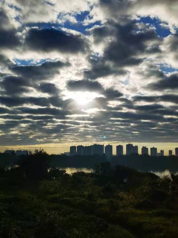 《海岛景色》海口早景：文图／李建印（陕西西安）（图11）