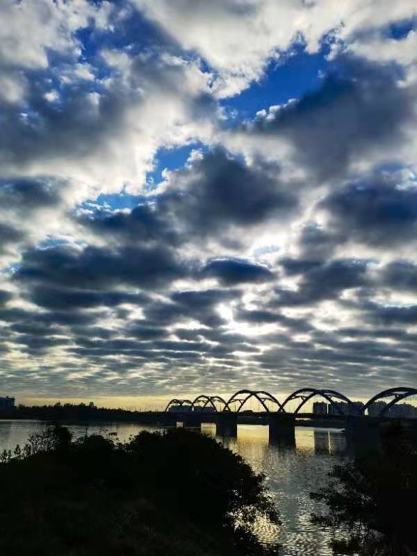 《海岛景色》海口早景：文图／李建印（陕西西安）（图10）
