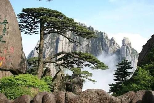 联机全球发布赵秀荣精品诗歌（图15）