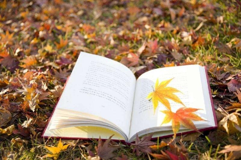 〔诗词专辑〕作者 郭子华（加拿大）【冰心文化传媒】（图12）