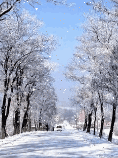 “光悌文艺”诗友|吟冬雪|人民诗刊|海外头条(图22)