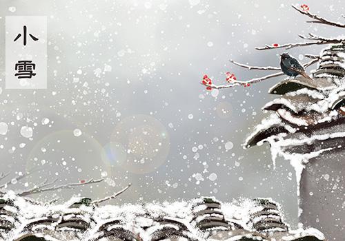 【新诗大观】小雪||文/金粉玉蝶