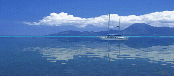 〔现代诗〕组诗 作者 宏翔（湖南）【看好你冰心】（图10）