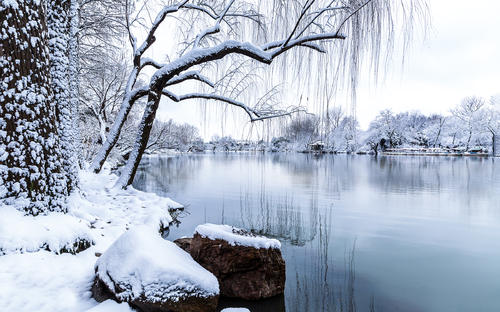 《雪》小小说 文/卫选民陕西（图3）