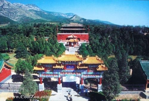 联机全球发布翟珍精品诗歌（图12）