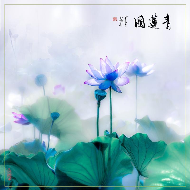 〔诗词小辑〕作者 徐荣峰(上海)【冰心文化传媒】(图8)