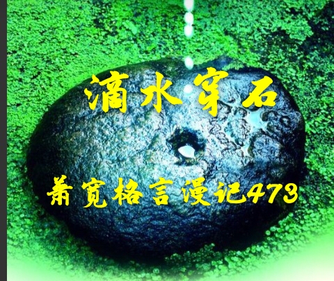 因激情而诗兴大发因艺术而沉醉书画——江改银致集策划家，书画家，诗人于一身的艺术大家萧宽先生（图13）
