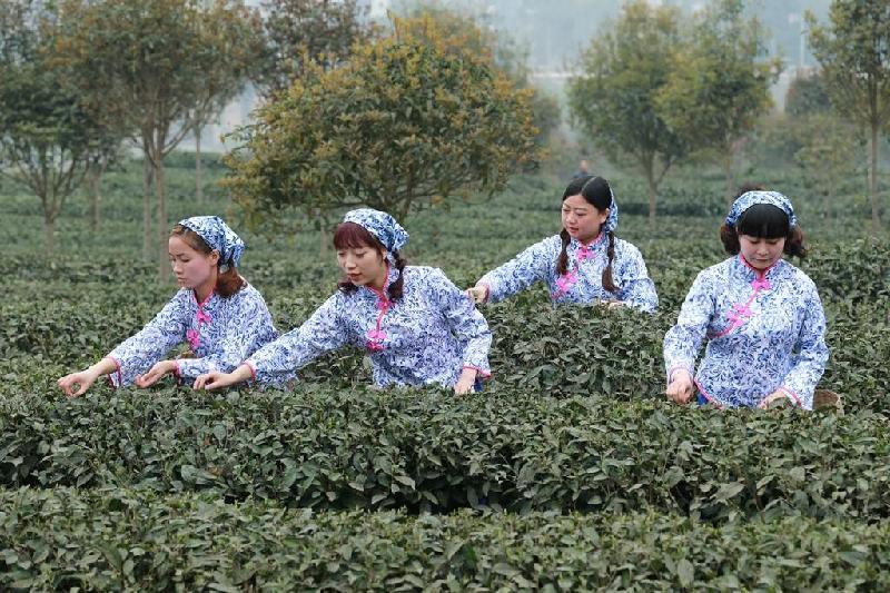 【经典推荐】曾培方//咏棉洋天柱山茶｛外四首｝（图9）
