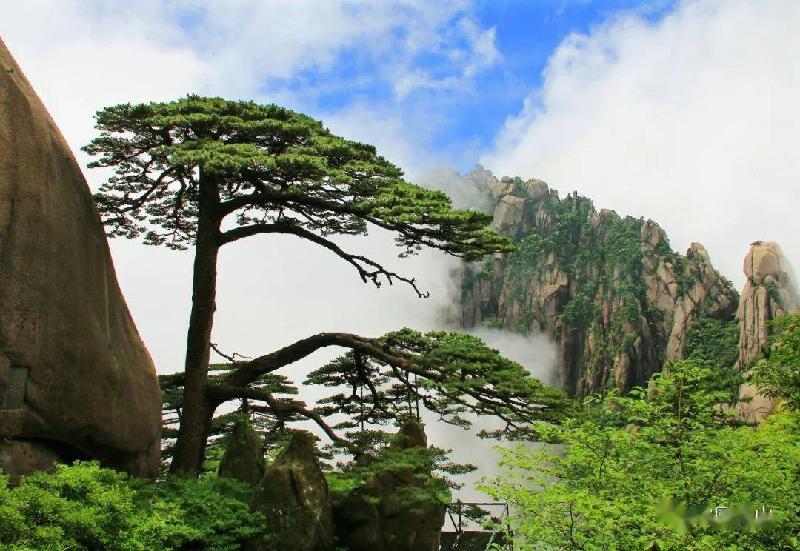 陈铠诗歌《永远名垂青史 冰雕连》主播：老革命 编辑： 香乡【北疆头条】（第110期）（图2）