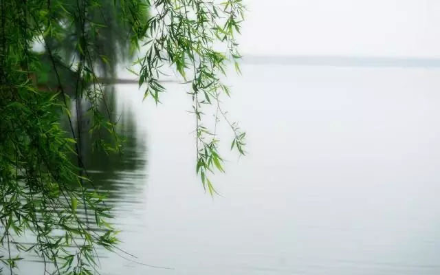 【新诗大观】一剪梅红了樱桃绿了芭蕉||诵/文嘉(图4)