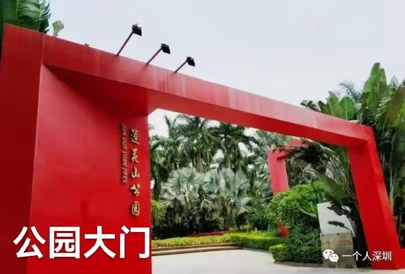 深圳莲花山公园｜作者丁培恭｜海外头条（图2）