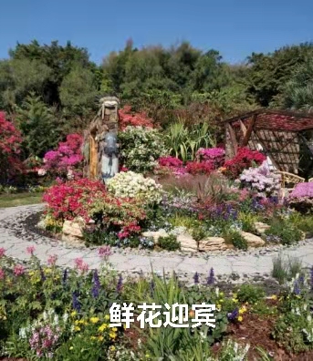 深圳莲花山公园｜作者丁培恭｜海外头条（图3）